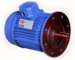 Vibro Motor in india